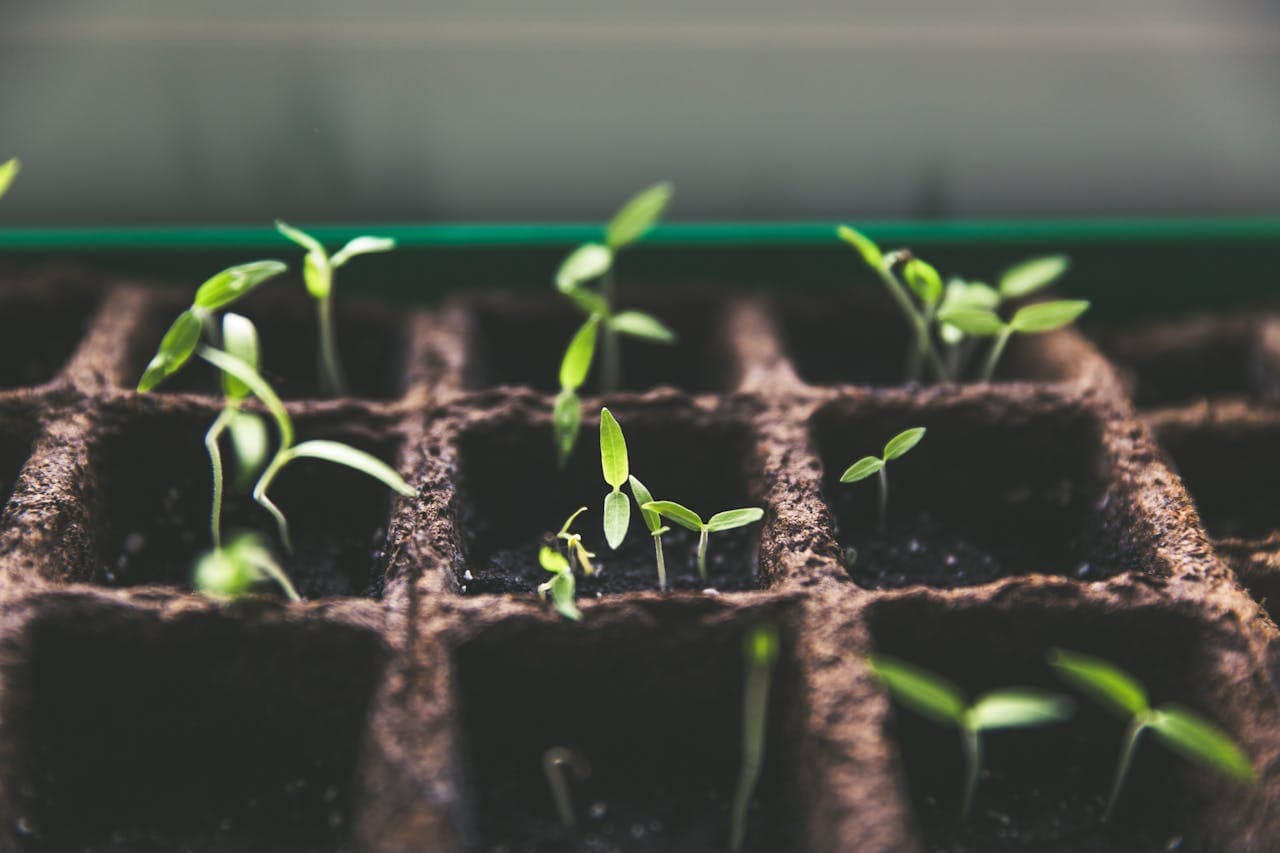 How to Create a Successful eCommerce Content Strategy?
